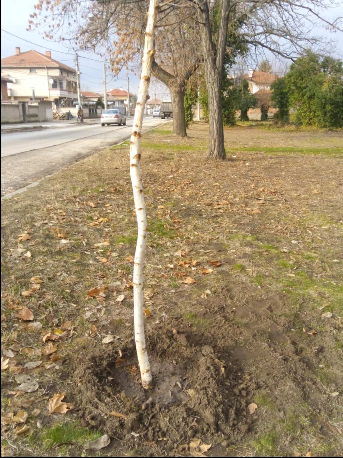Stroevo