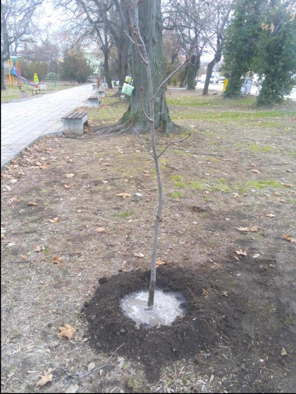 Stroevo