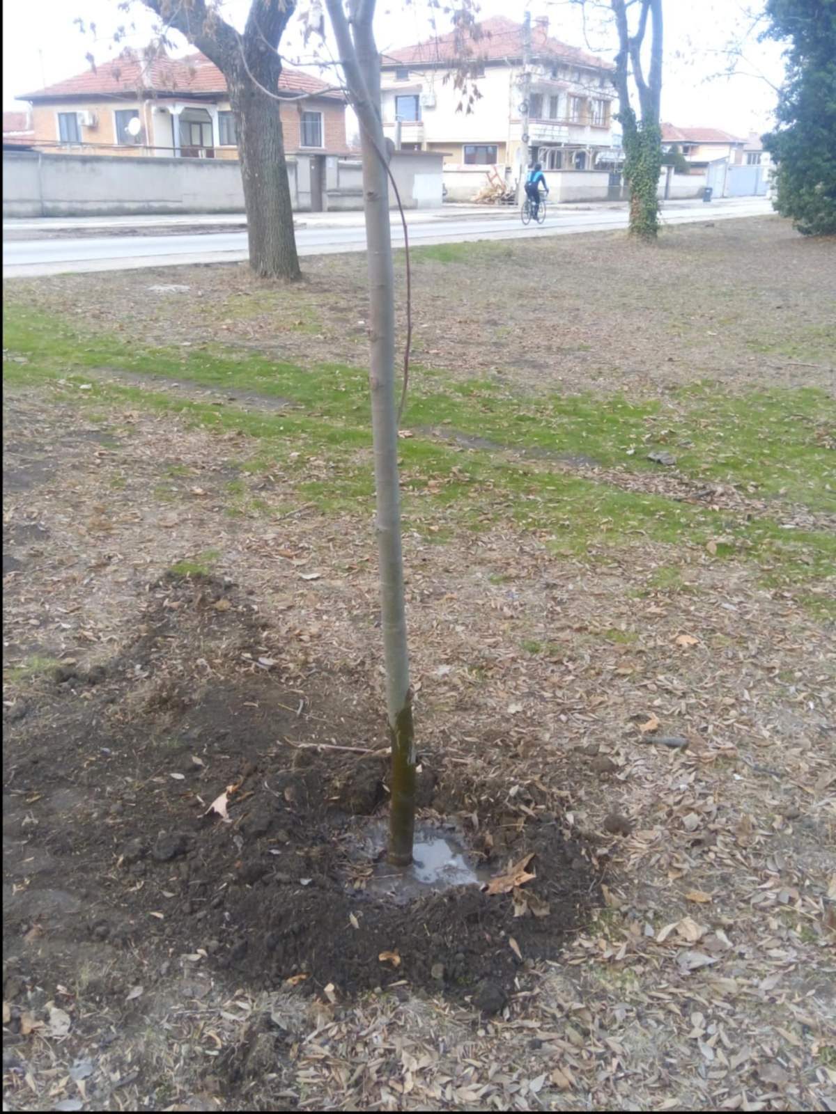 Stroevo