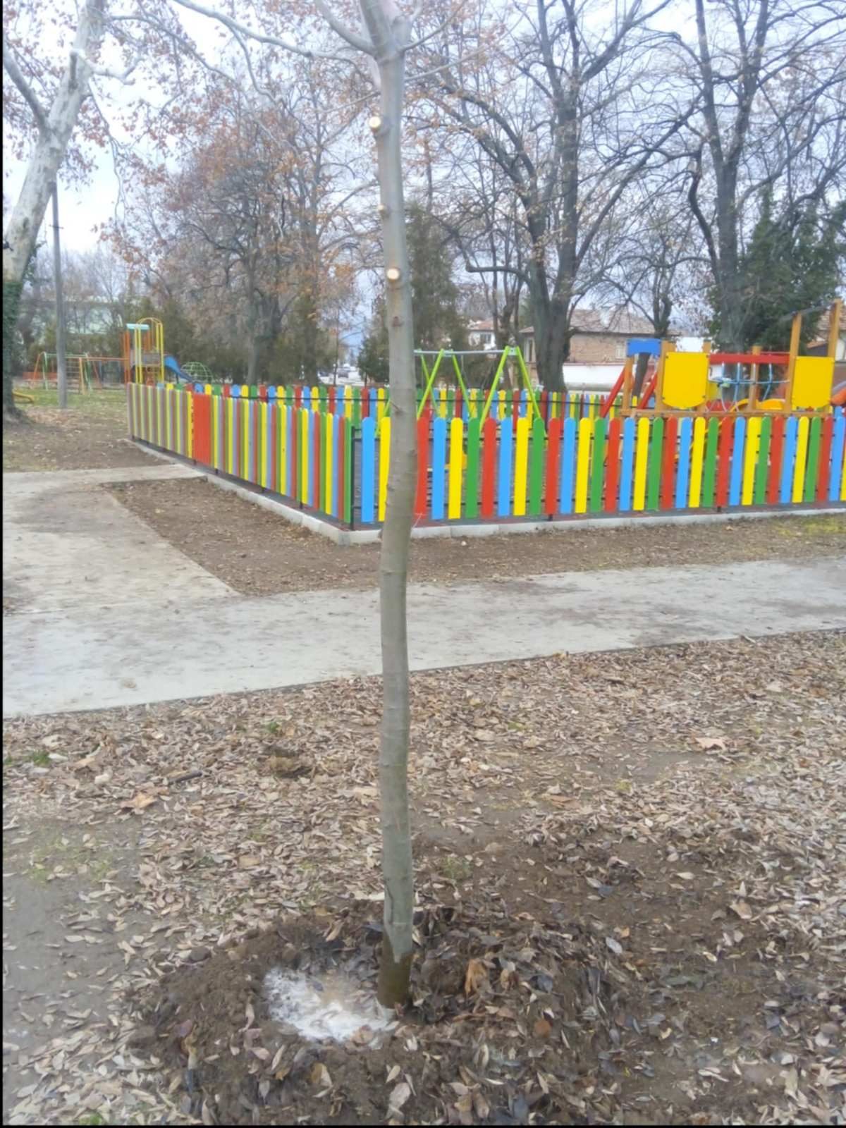 Stroevo